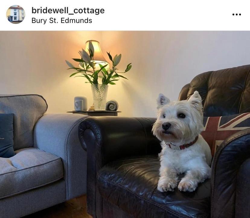 Sweet & Cosy 10 Bridewell Cottage With Parking Available Upon Request Bury St. Edmunds Exterior photo